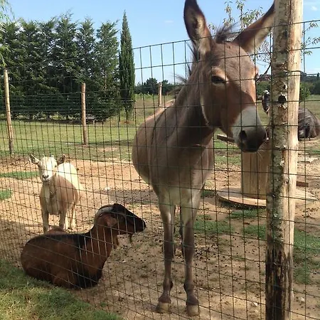 Gospodarstwo agroturystyczne Dolce Castiglione del Lago