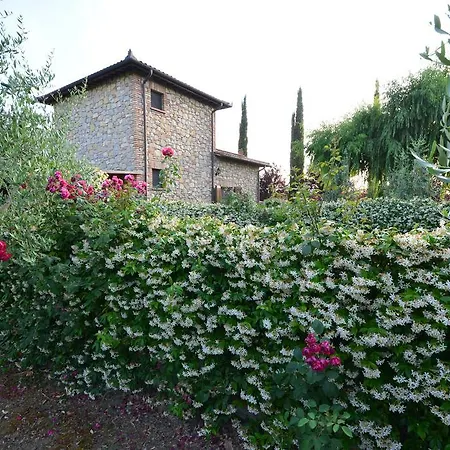Dolce Feriegård Castiglione del Lago