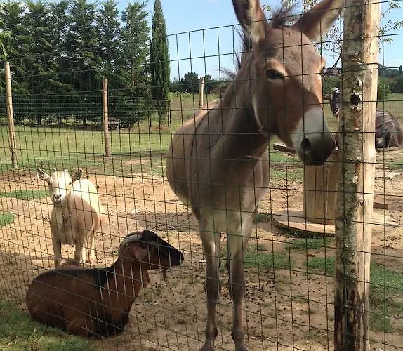 Gospodarstwo agroturystyczne Dolce Castiglione del Lago