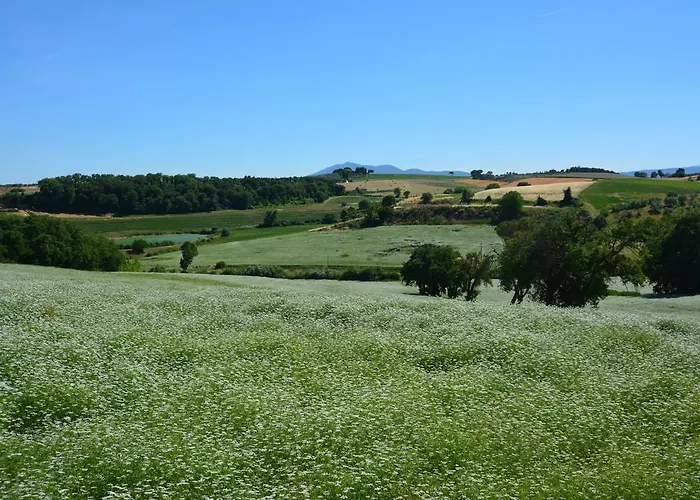 Dolce Castiglione del Lago